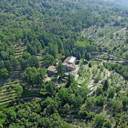 Belvedere-2 By Interhome Apartamento